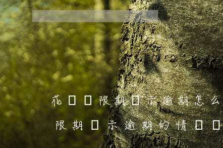 花唄寬限期顯示逾期怎么辦，如何處理花唄寬限期顯示逾期的情況？